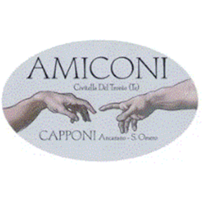 Onoranze Funebri Amiconi & di Luigi Logo