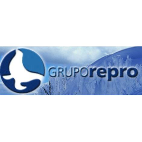 Grupo Repro Logo
