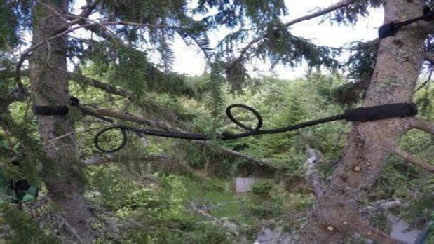 Images Climbers Choice Tree Care