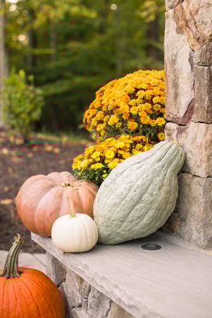 Images Strange's Florists Greenhouses & Garden Centers