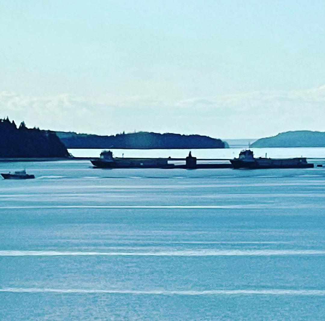 Submarine and friends right off Port Gamble . This never gets old!! So cool!