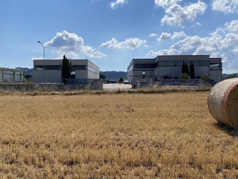 Images F.lli Bachiorrini