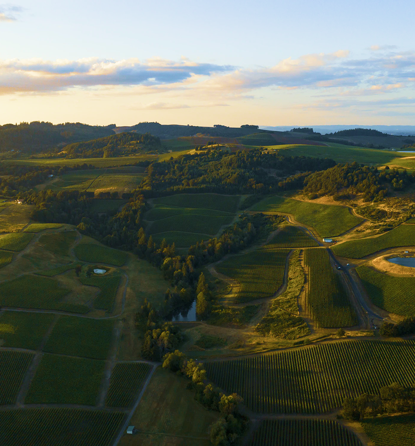 An aerial shot of a beautiful winery.
