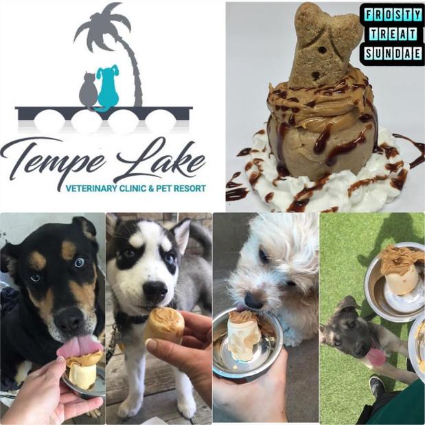 Images Tempe Lake Veterinary Clinic & Pet Resort