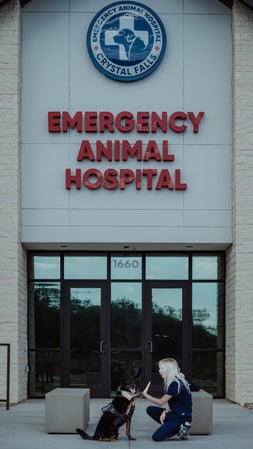 Images Emergency Animal Hospital of Crystal Falls