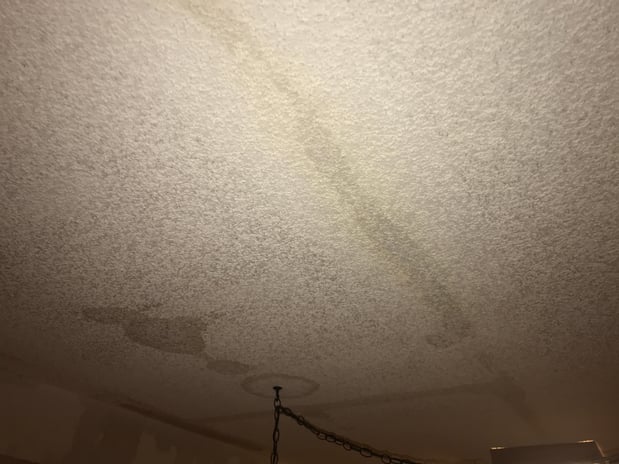 Images Rex Environmental