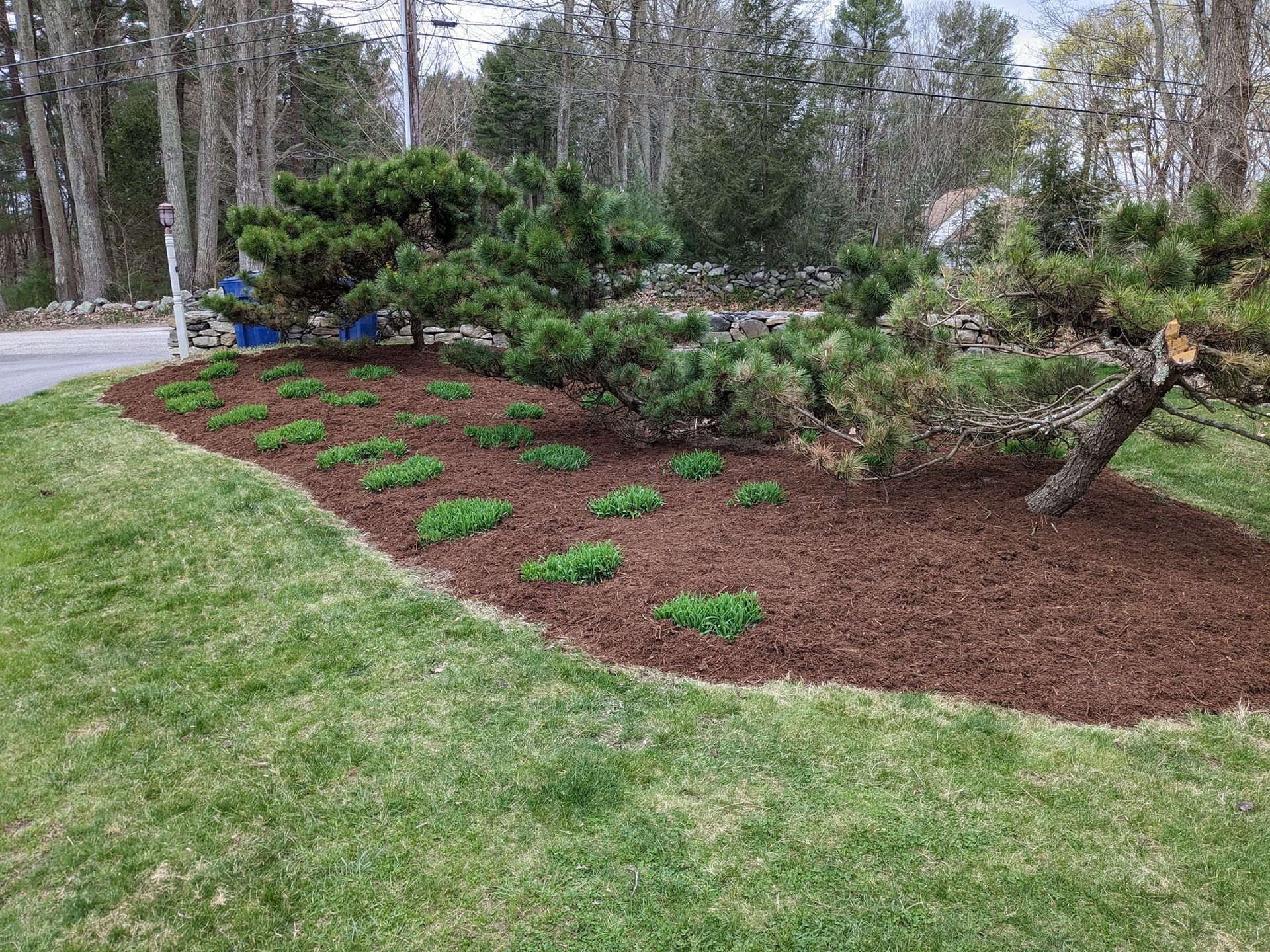 Green's Lawn Care & Landscaping Image