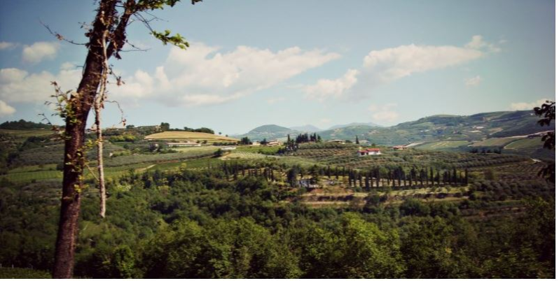 Images Azienda Agricola San Cassiano
