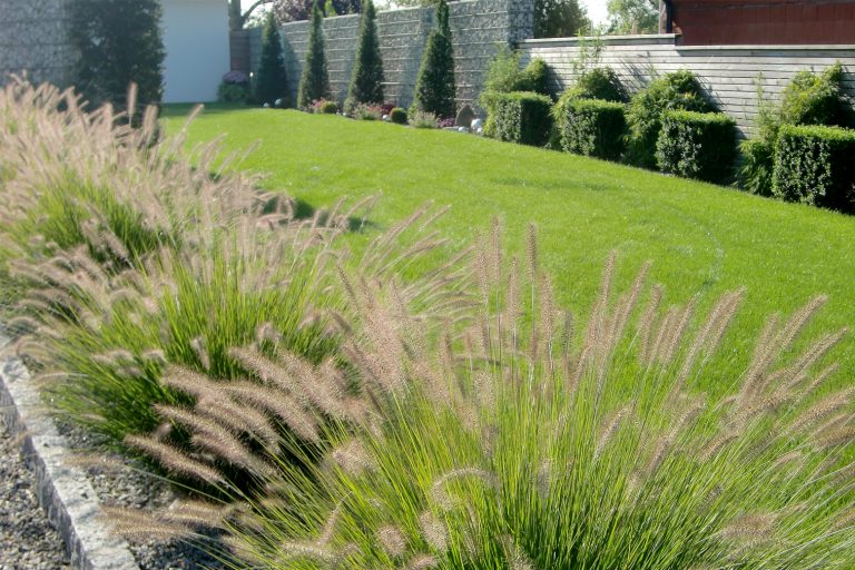 Gartengestaltung Dominik Hauer, Ranseredt 31 31 /1 in Eggerding