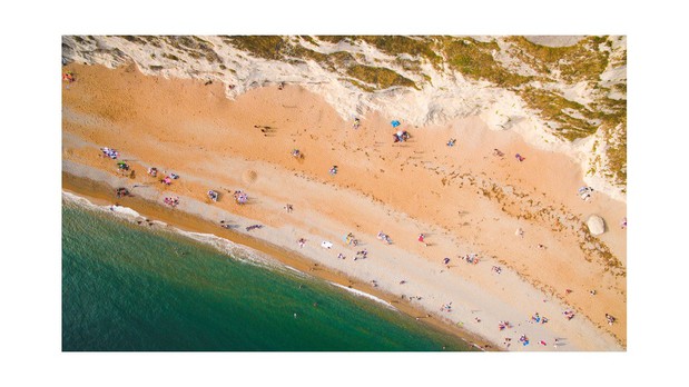 Images Bird High View