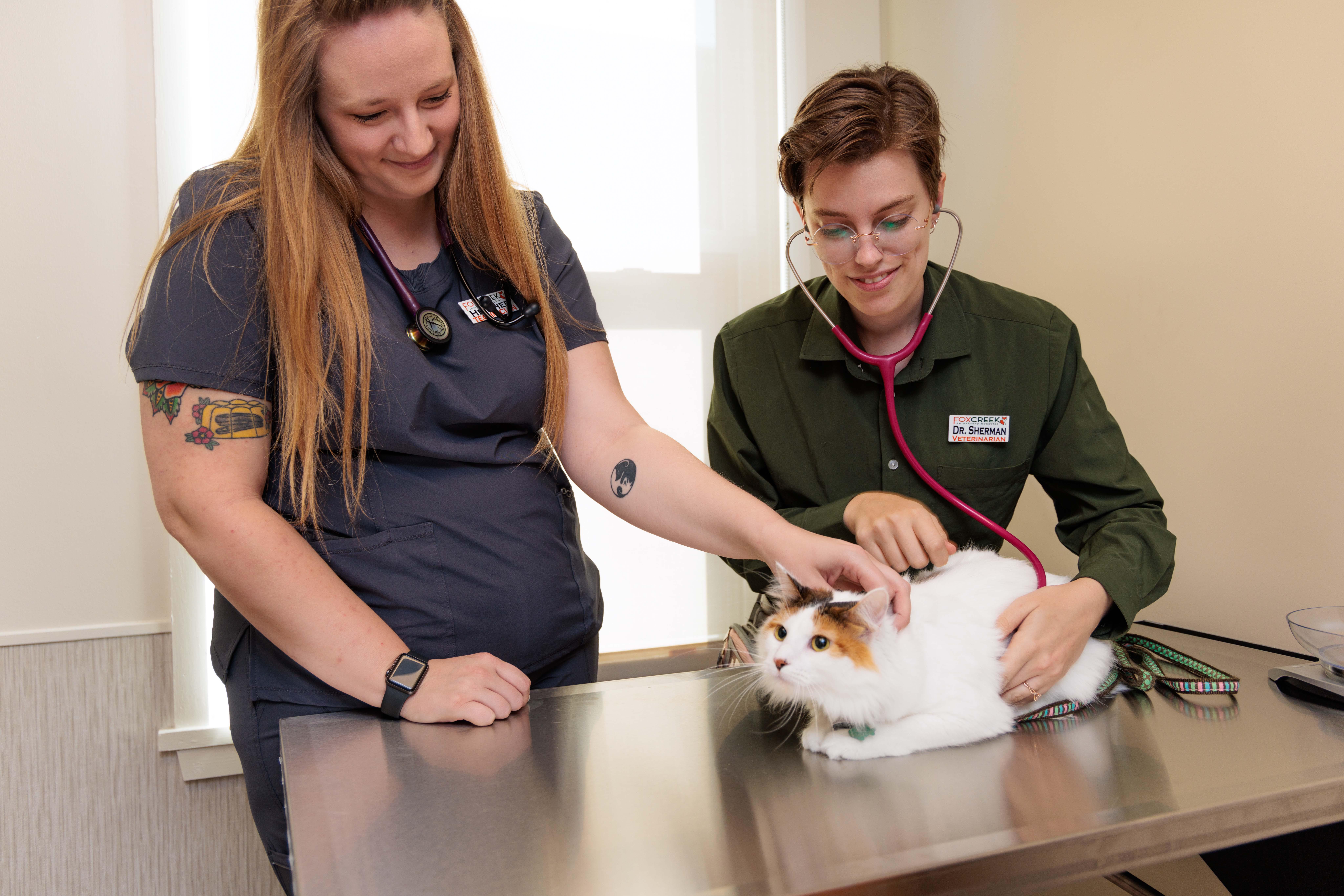 Here at Fox Creek, we know that routine care allows us to not only catch diseases early but sometimes prevent them altogether. Our team provides annual wellness exams and vaccinations, compassionate care for pets of all ages, and even microchipping to ensure the safety of your pet.