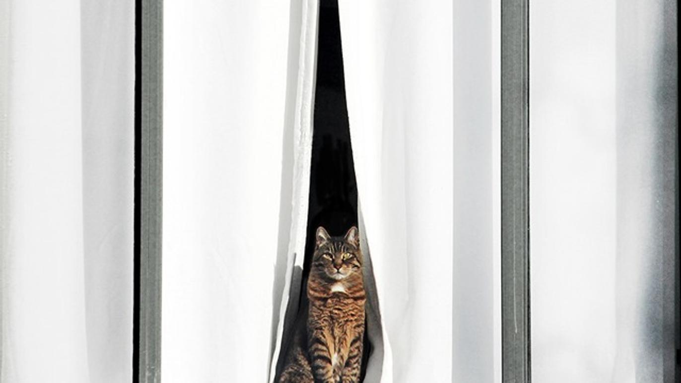 Images Svensk Fastighetsförmedling Eslöv