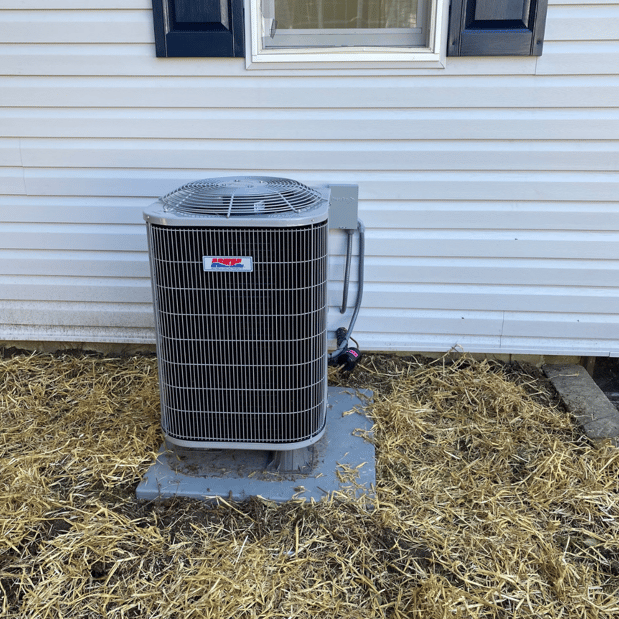 Images Shoreline Comfort