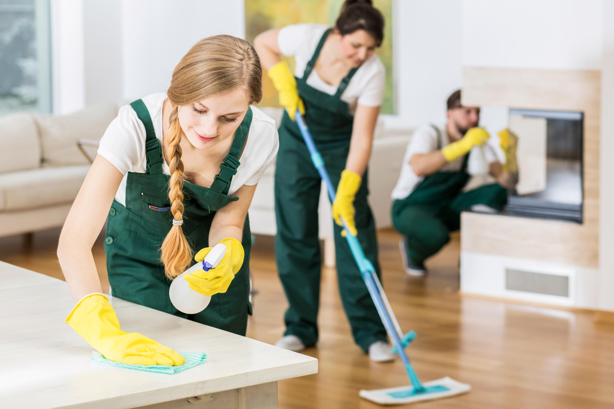 Standard Cleaning Services Deep Cleaning Services Move-In & Out Cleaning