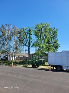 4 Winds Tree Service - Certified arborists