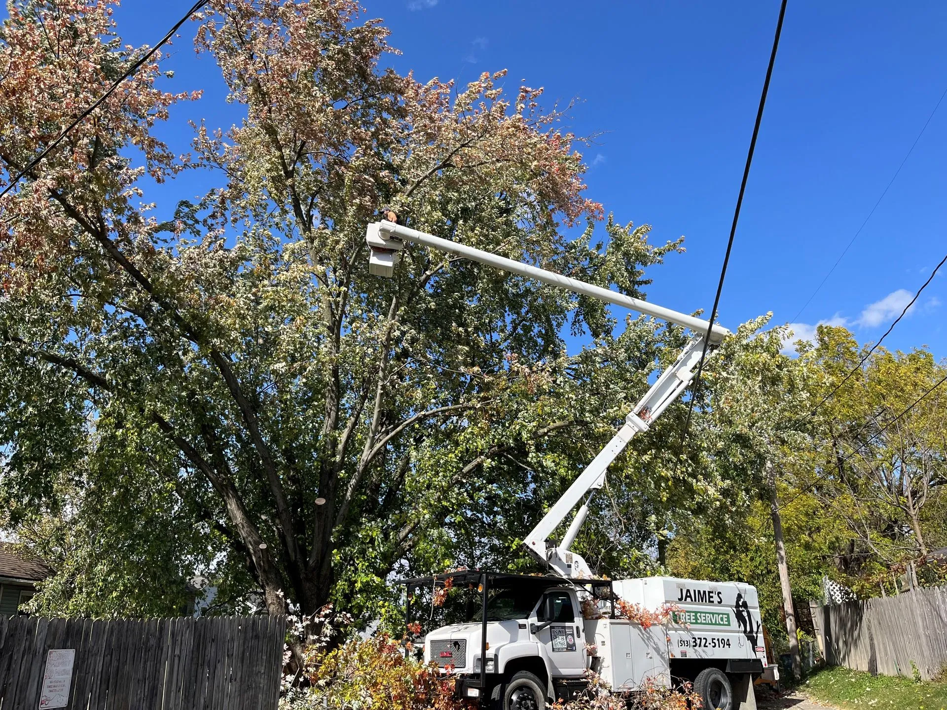 Jaime's Tree Service Image