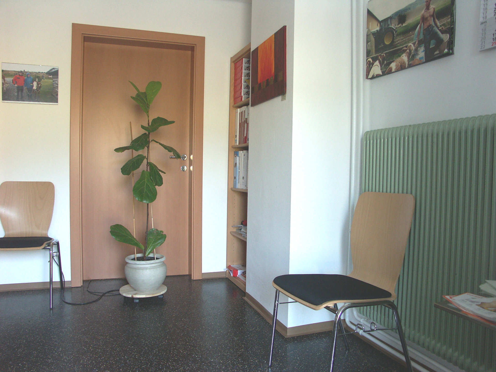 Bild 1 von Tierarztpraxis Dr. Brigitte Steiner