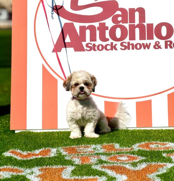 FIELD OPS San Antonio Image