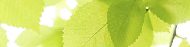 Images Larrick's Warehouse