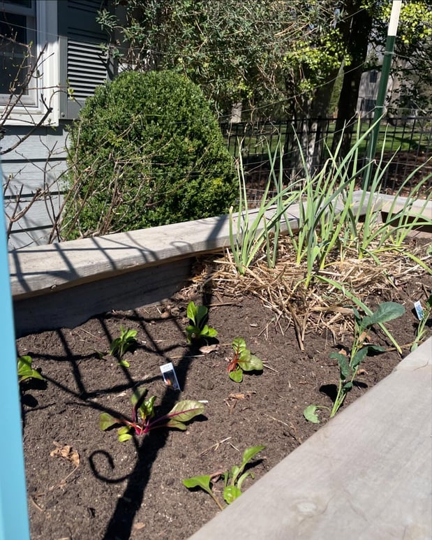 Images Edible Gardens Inc