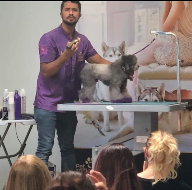 Images San Diego Grooming Academy