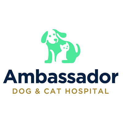 Ambassador Dog & Cat Hospital
