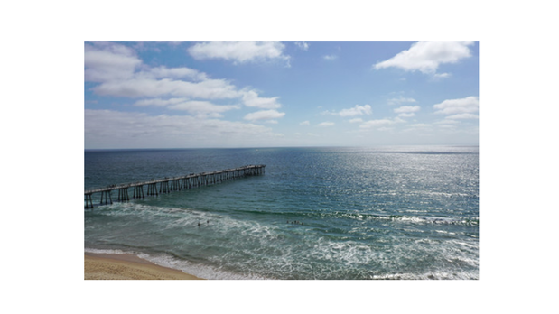 Images Bird High View