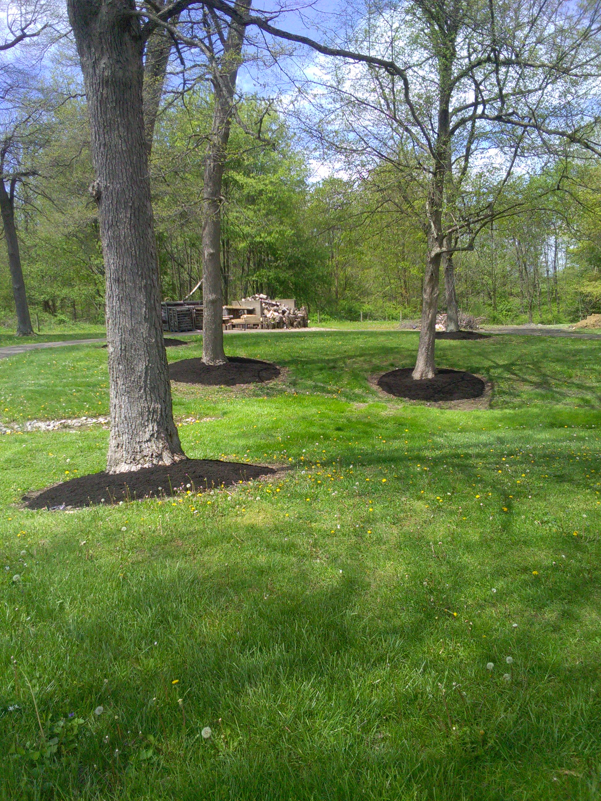 Working with fellow family-owned business, Kaufman Mulch in Millersburg, allows Steven to offer a wide selection and trusted quality. He guides homeowners and business owners to select the color and shred to best complement any building.