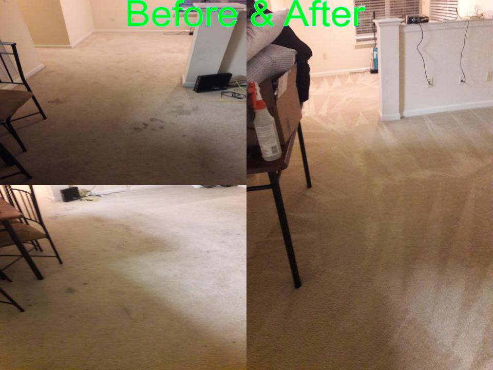 Able Body Carpet & Restoration Photo