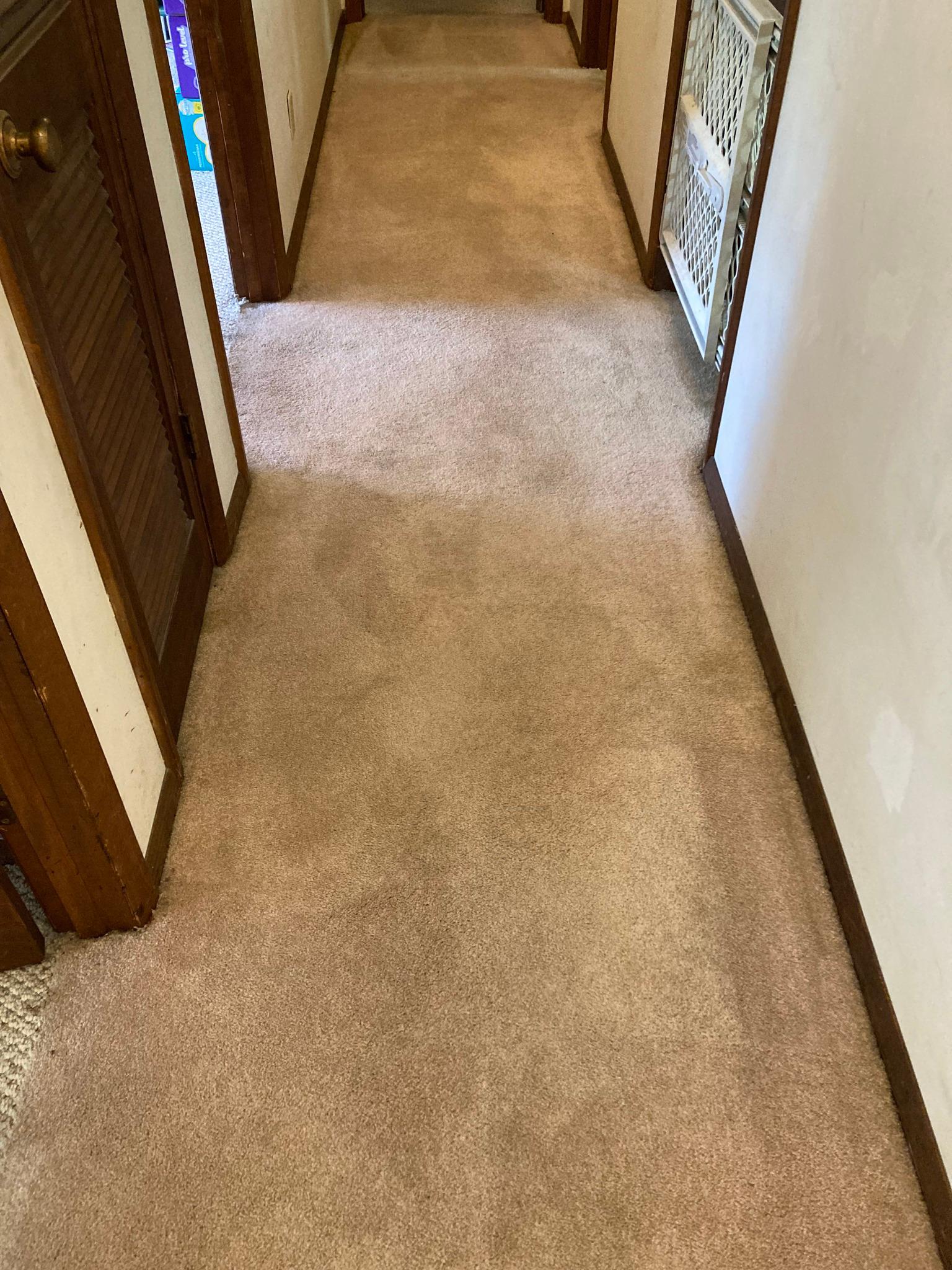 after a carpet cleaning White River Chem-Dry Muncie (765)217-4337