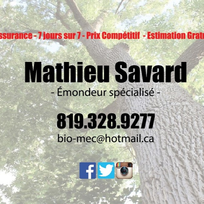 Images Abattage Bio-Mec