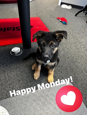 Images Marjorie Schaeffer - State Farm Insurance Agent