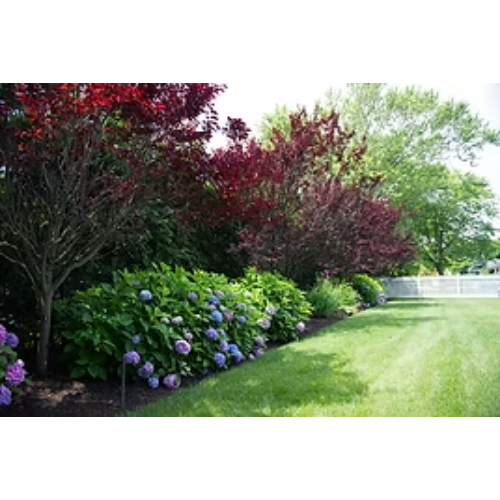 Images Nature's Touch Landscaping, Inc.