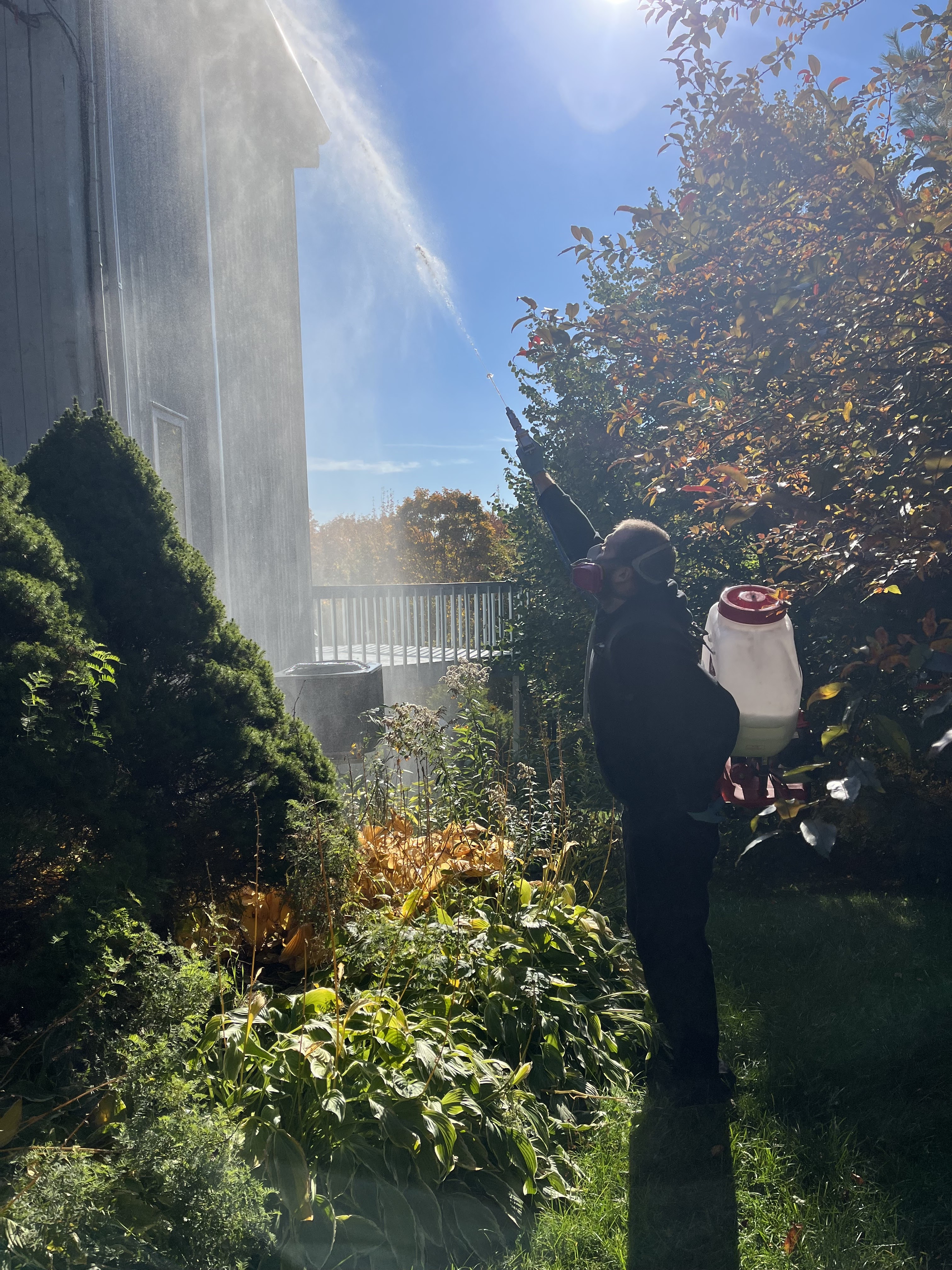 Images Exterminateurs Québec