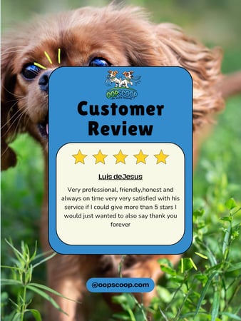 Images Oop Scoop Pet Waste Removal