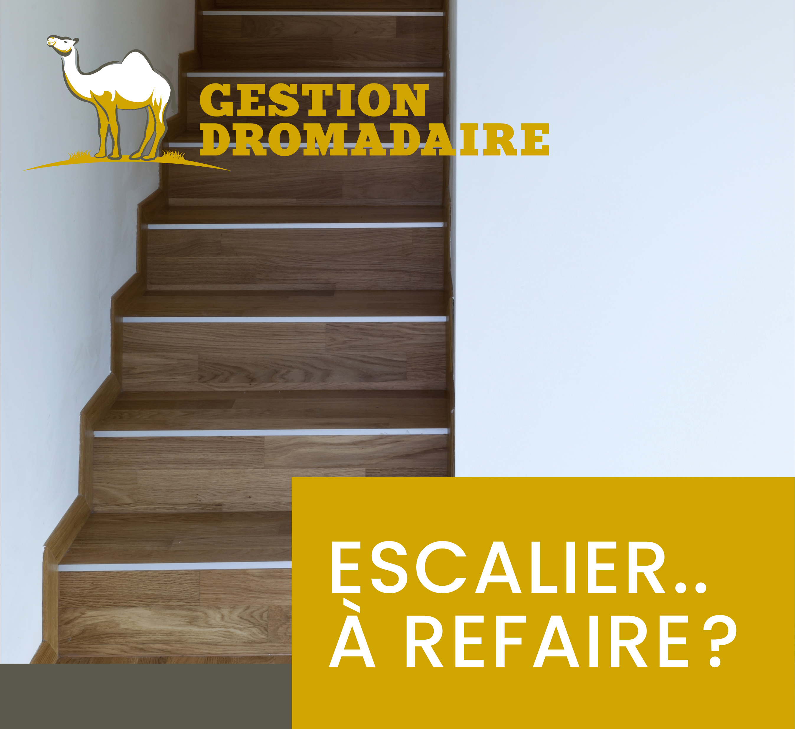 Images Gestion Dromadaire Inc