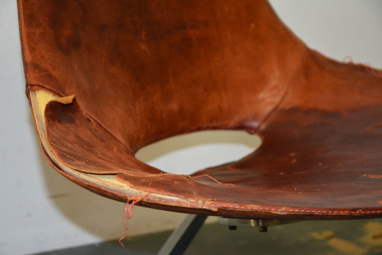 Bilder Atelier Lippmann
