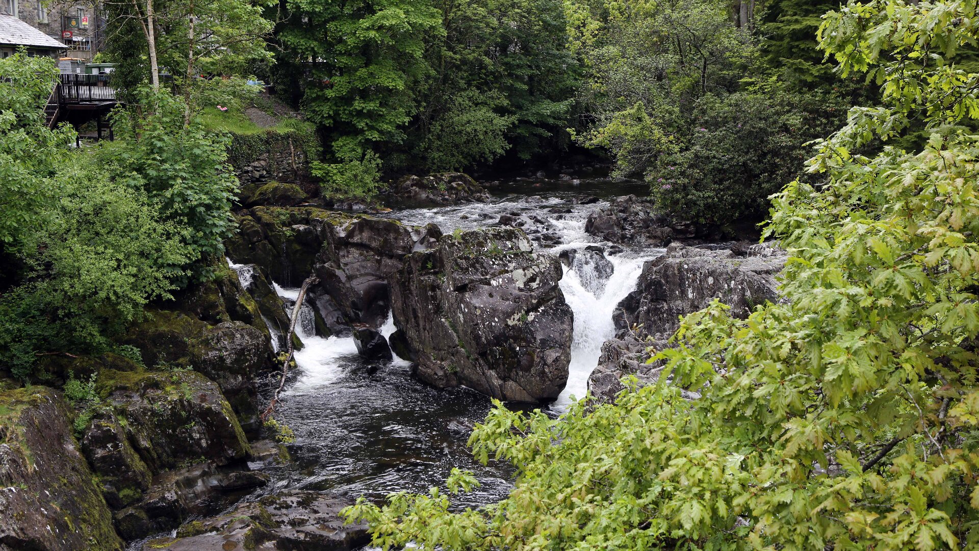 Images Pont Y Pair Inn