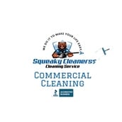 Squeaky Cleanerss - Elmira, NY - (607)857-4791 | ShowMeLocal.com