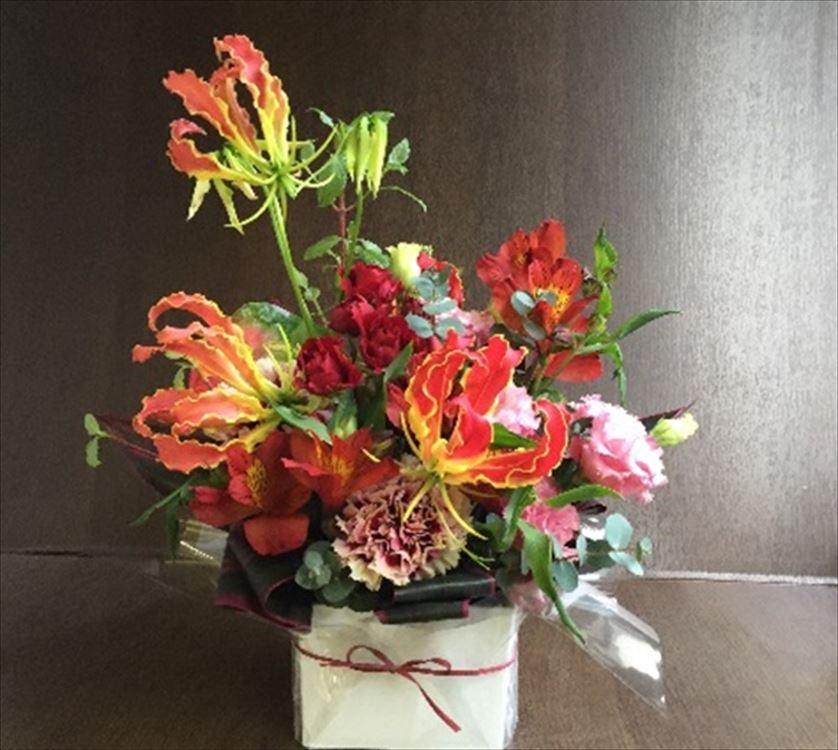 Images 花年