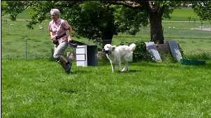 Dog Academy, Zinggliweg 1 in Malans GR