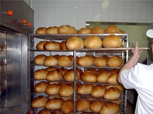 Images Mátyás Sütő Kft.