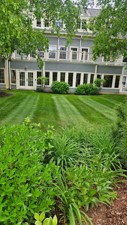 Images Ultra Landscaping LLC