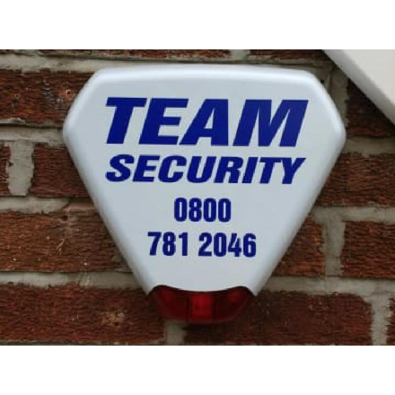 Team Security Logo