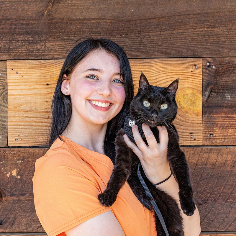 Images MalsPals Pet Dental Cleaning