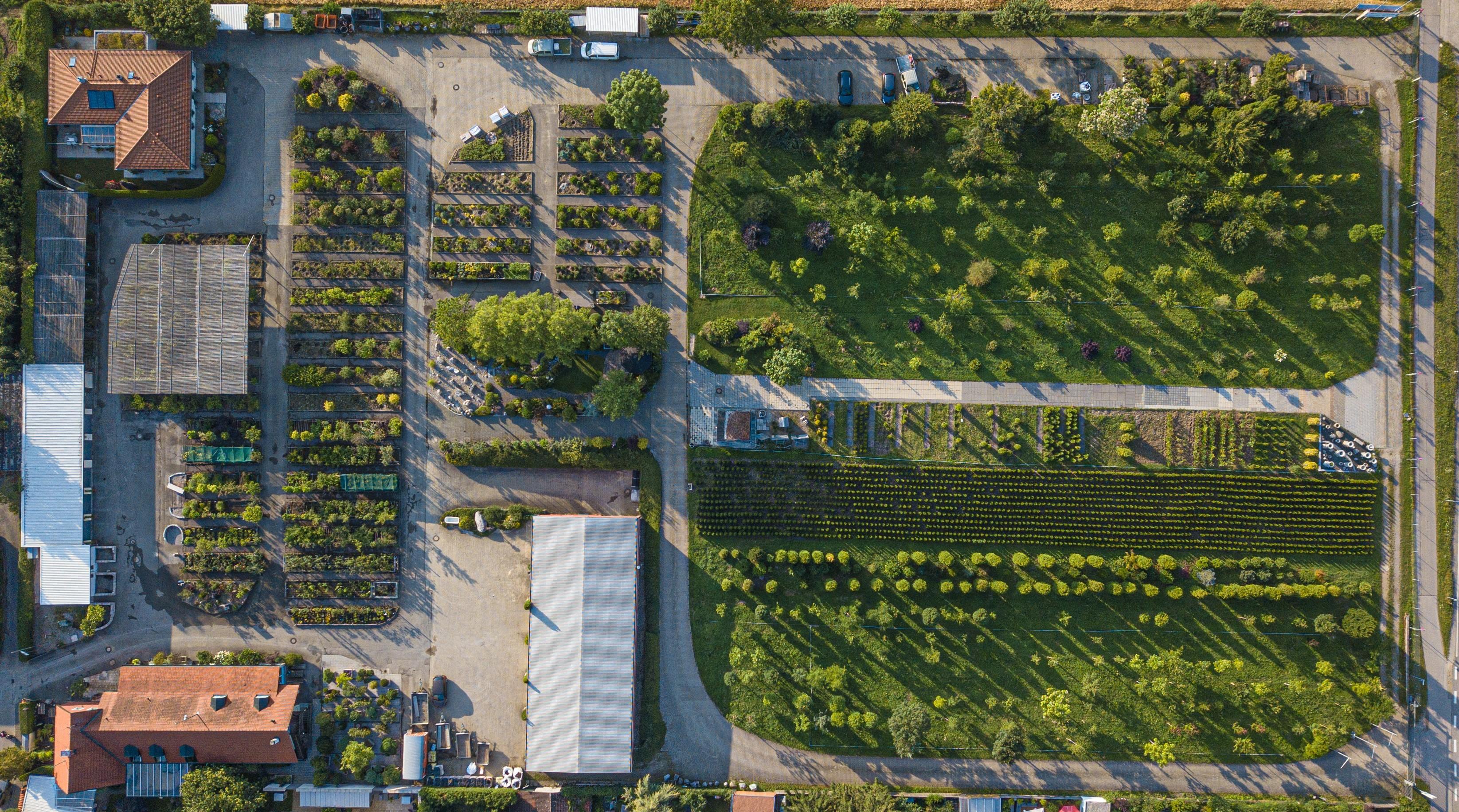 Bild 9 Martin Bayer GbR Garten- und Landschaftsbau, Pflanzenvermietung und Martin Bayer Baumschule in Haar
