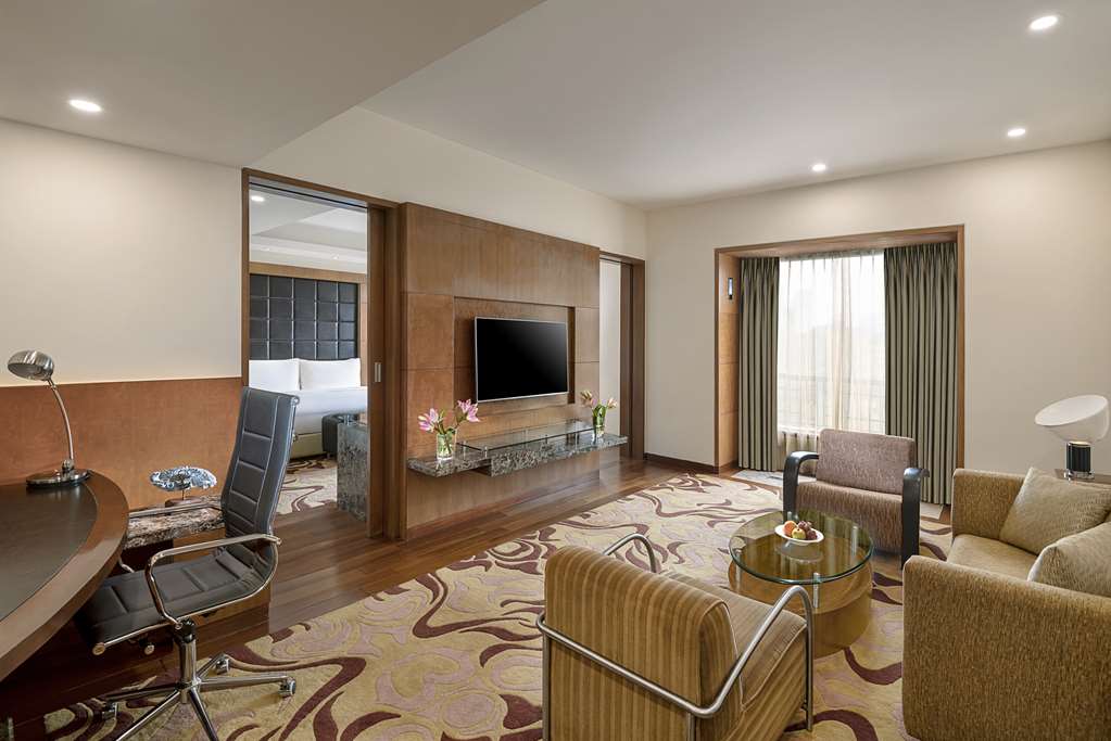 Radisson Blu Plaza Hotel, Delhi Airport