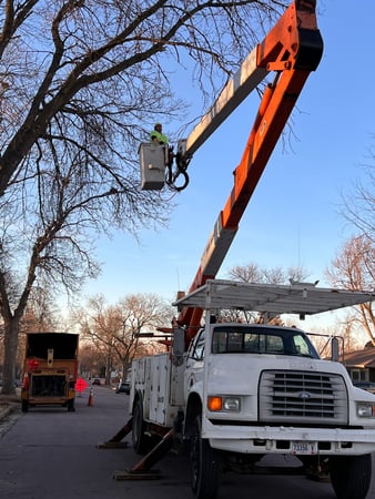 Images Wellman Tree Service