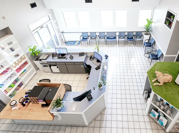 Images VCA Castle Hills Companion Animal Hospital