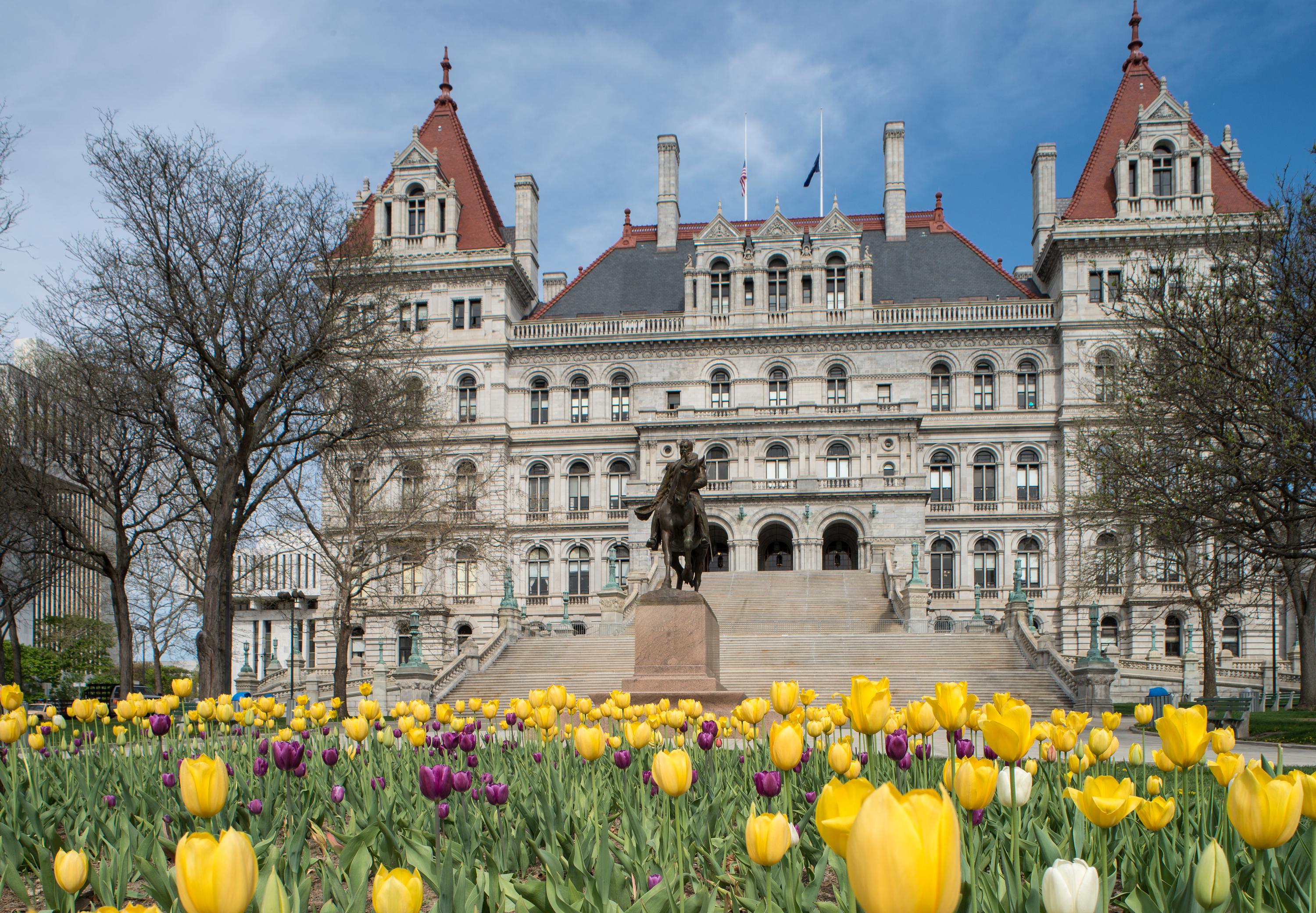 Albany casino news